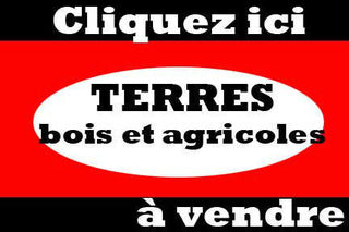 Terre agricole grande culture, bois, fermes etc.
