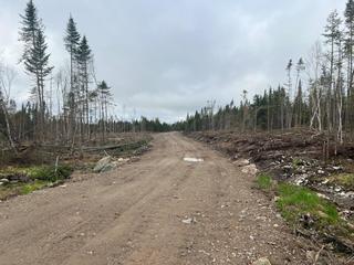 Ste-Apolline-de-Patton : Terre à bois 353 acres