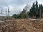 Ste-Apolline-de-Patton : Terre à bois 353 acres