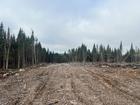 Ste-Apolline-de-Patton : Terre à bois 205 acres