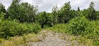 Ste-Justine, terre à bois 219 acres