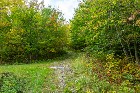 TERRAIN-12 231.03 PI²-LAC DES SITTELLES-AUSTIN