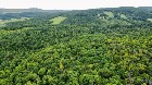 St-Ferdinand, terre à bois 150 ac, maison, grange