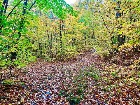 St-Elie-de-Caxton (Mauricie) : Terre a bois,chalet