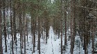 St-Lucien, terre à bois de 21 acres droit constr.