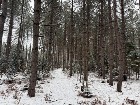 St-Lucien, terre à bois de 21 acres droit constr.