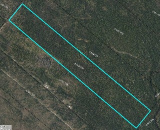 Milan (Estrie) Terre à bois 39 acr droit de constr