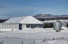 St-Camille : Ferme de chèvres laitières 158 acres