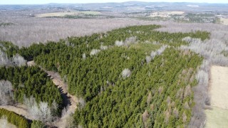 Danville terre à bois 193 ac. droits de constr.