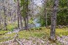 PLAIN-PIED * TERRAIN 23 000 PI² * ORFORD