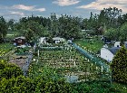 Terrain 6500pc pour agriculture ou élevage à Laval