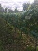 Terrain 6500pc pour agriculture ou élevage à Laval