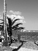 VOYAGE GRATUIT