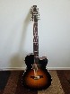 Guitare seagull 12 cordes