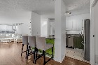 Condo spacieux et lumineux 1 chambre 