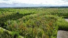 Bécancour: Terre à bois, 53 ac. 900 entailles
