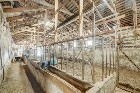 St-Julien : Terre 350 acres, 101 acres en culture