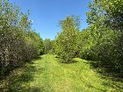 St-Lucien (Ctre du Québec) Terrain à bois 62 acres