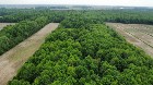 Terre agricole de 125,19 acres Potentiel acéricole