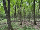 Terre agricole de 125,19 acres Potentiel acéricole