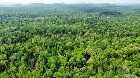 Sherbrooke (Estrie) : Terre à bois de 165,12 acres