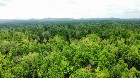 Sherbrooke (Estrie) : Terre à bois de 165,12 acres