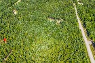 * TERRAIN BOISÉ * 1,76 ACRE * LA PATRIE *