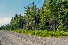 * TERRAIN BOISÉ * 1,76 ACRE * LA PATRIE *