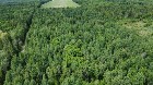 Cookshire-Eaton (Estrie) :Terre à bois 32,31 acres