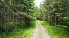 Cookshire-Eaton (Estrie) :Terre à bois 32,31 acres