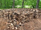 Bois de chauffage disponible intéressé pv