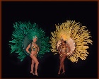 Costumes et plumes