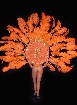 Costumes et plumes