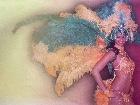 Costumes et plumes