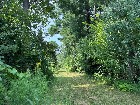 Terrain subdivisible 61 711pc Chemin Pincourt