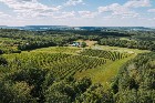 Danville, Estrie – vignoble, érablière