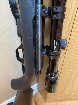 carabine 17 hmr 