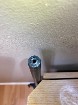 carabine 17 hmr 