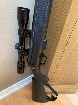 carabine 17 hmr 