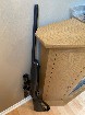 carabine 17 hmr 