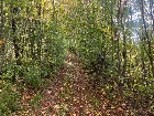 St-Amable (Montérégie) : terre à bois à vendre 