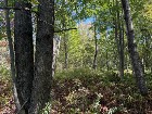 Notre-Dame-du-Bon-Conseil Terre à bois
