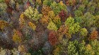 Trois-Rivières (Mauricie) : Terre à bois 48.73 acr