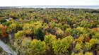 Trois-Rivières (Mauricie) : Terre à bois 48.73 acr