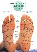  SOINS DES PIEDS & RÉFLEXOLOGIE PLANTAIRE