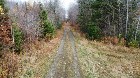Ham-Sud (Estrie) : Terre à bois de 39 acres