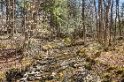 Stoke (Estrie) : Domaine forestier de 54,19 acres 