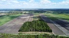 Ste-Eulalie (Ctre-du-Qu&eacute;bec)Terres agricoles 188ac