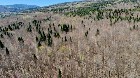 Kinnear&rsquo;s Mills (Chaud-App) : Terre &agrave; bois 110 ac