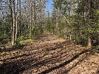 Kinnear&rsquo;s Mills (Chaud-App) : Terre &agrave; bois 110 ac